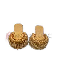 Distinguished military adornment, these epaulettes radiate opulence, t